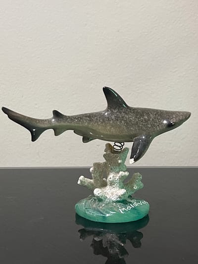 This media file features a close-up of a decorative item resembling a shark attached to a coral-like structure. The shark is depicted in a gray, speckled finish with darker fins and tail. A small, coiled spring connects the shark to the coral. The coral itself is light green and appears textured, possibly made of glass or resin, with white accents. A translucent green disc, likely a bead or charm, is embedded within the coral structure. Faint white lettering is visible on this green disc, and the text appears to spell out "Maldives." The background consists of a textured off-white wall on the left and a dark gray, reflective surface on the right, suggesting an indoor display. The lighting is bright, casting subtle shadows and highlighting the glossy surfaces of the shark and coral. The overall impression is of a souvenir or decorative piece related to marine life and the Maldives.