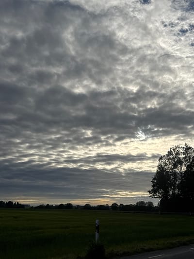 This is a vertical, eye-level, outdoor, medium shot photograph of a cloudy sky over a rural landscape. The sky is filled with numerous layers of grey clouds, with patches of brighter white light breaking through in the upper right quadrant, suggesting a low sun angle. A dense line of dark trees is visible along the right side of the frame, silhouetted against the sky. The foreground consists of a dark green field, possibly a meadow or crop field, with a subtle texture of grass. A white and black striped marker post is positioned in the field near the right edge of the frame. A portion of a paved road with a white line is visible in the lower right corner. In the distance, a faint line of trees and buildings can be seen across the field. The overall impression is a moody, overcast day in a rural area. The specific location within Saue, Estonia is not visually identifiable from the image.