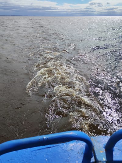 The image captures a view from a moving boat across a wide expanse of water under a partially cloudy sky. In the foreground, a weathered, bright blue metal railing is visible, indicating the perspective is from the vessel itself, looking out over the water.

The main subject is the water, which appears turbulent and murky, especially in the immediate wake of the boat. A prominent, foamy trail of churned water, brownish in color with sparkling highlights from the sun, extends from the lower center towards the mid-right of the frame. To the left of the wake, the water is a darker, more uniform brown. To the right, and further out, the water reflects intense sunlight, creating numerous bright, shimmering points across its surface. The overall impression of the water is choppy and restless.

In the mid-ground, the vastness of the water continues, stretching towards a distant, low-lying horizon line. A faint, dark strip of land or shoreline can be seen along the horizon. Above this, the sky occupies the upper portion of the image, featuring a mix of white and grey clouds against a lighter blue backdrop, suggesting a partly sunny day. The sunlight is strong enough to create significant glare on the water.

The scene depicts the activity of traveling by boat on a large body of water, likely a river or reservoir given the context of Mologa, Russia. The time of day is daytime, with clear indications of sunlight. There is no visible text in the image.