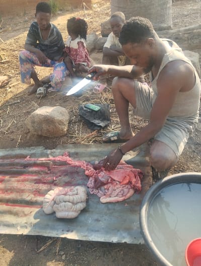 A man with a knife sits, preparing animal organs, likely a pig or goat, on a metal sheet. Intestines and other bloody entrails are visible. Nearby, a large basin of water and a red plastic cup suggest cleaning is in progress. Three children are seated on rocks nearby, seemingly observing the butchering process. The setting appears to be outdoors, possibly in a rural or village environment.