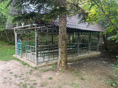 A rustic, open-air pavilion with a corrugated metal roof stands in a forested area, likely in Zeda Shavra, Georgia. The structure, supported by metal beams, contains several wooden picnic tables and benches. A mature tree with rough bark grows directly in front of the pavilion, partially obscuring its view. The ground surrounding the pavilion is a mixture of dirt, scattered leaves, and patches of grass. The environment suggests a natural, possibly secluded, location. The pavilion appears to be well-used, with some graffiti visible on its pillars.