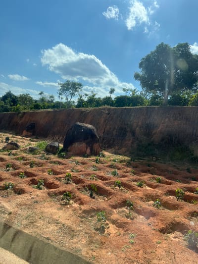 This media file presents a vibrant, sunlit agricultural landscape, likely in Thôn 8, Vietnam, characterized by a clear blue sky and active cultivation.
The upper portion of the image features a bright blue sky dotted with scattered white cumulus clouds. Strong sunlight is evident, creating a faint lens flare near the top edge.
Dominating the mid-ground is a significant, steep earthen bank or cliff. Its rich reddish-brown soil shows natural textures and variations, suggesting a stable, compacted structure. Along the top edge and extending beyond this bank, dense green tropical foliage and tall trees are visible, including some slender, palm-like trees, indicating a lush environment. At the base of the earthen bank, several large, dark, weathered boulders are scattered, adding to the natural ruggedness of the terrain.
The foreground, occupying the lower right, showcases a meticulously prepared agricultural field. The reddish-brown soil is arranged in a pattern of numerous, evenly spaced, circular or oval-shaped mounds or depressions. Within each of these cultivated spots, a small, vibrant green plant or sapling is growing, suggesting recent planting or an early stage of crop development. The arrangement implies systematic farming practices.
The scene depicts a peaceful, industrious setting under bright, sunny weather, likely around midday. No people or visible text are present. The distinct red soil and tropical vegetation align with the provided location context.