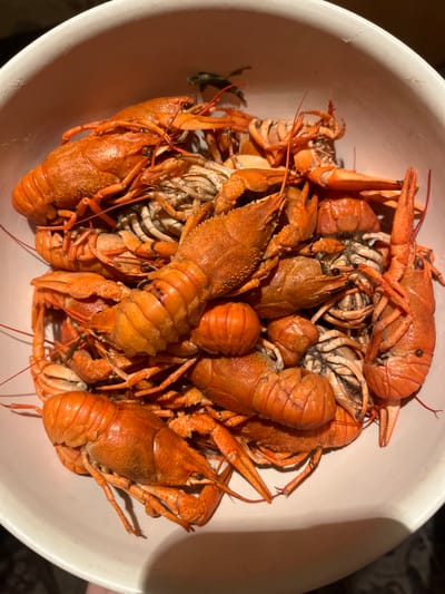 This media file is a close-up, overhead shot of a large white bowl filled with cooked crawfish. The crawfish are a vibrant orange-red color, indicating they have been boiled or steamed. They are piled high in the bowl, with their claws, tails, and antennae intermingled. Some of the crawfish are larger and more prominently displayed, while others are partially obscured by the others. The texture of the crawfish shells is visible, with some appearing smoother and others more segmented. The lighting suggests the photo was taken indoors, possibly in natural light due to the soft shadows. The background is slightly out of focus, with hints of a darker, patterned surface. There is no visible text in the image. The scene depicts a culinary preparation or a finished dish, likely intended for consumption. The location context provided, Tobyl, Kazakhstan, might suggest a regional delicacy or a dish enjoyed in that area.