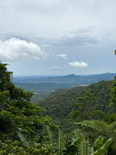 This is a landscape photograph taken from a high vantage point, overlooking a lush, green mountainous region. The foreground is dominated by dense foliage, including large banana leaves and various trees with rich green leaves, creating a natural frame for the scene. In the mid-ground, rolling hills covered in thick forest stretch into the distance. Further back, layers of mountains fade into a hazy blue silhouette against the horizon. The sky is overcast with scattered white and gray clouds. A faint outline of a small aircraft or drone is visible in the upper center of the sky. In the far distance, on the left side of the image, a flat area with buildings and water can be seen, suggesting a coastal city or settlement. The overall impression is one of a vast, natural, and relatively undeveloped environment.