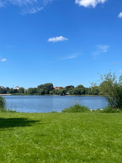 This media file depicts a serene lakeside scene in Nowogard, Poland, on a clear, sunny day. The image is oriented vertically, with the blue sky dominating the left side and a vibrant green grassy area on the right. A calm body of water separates the sky from the tree line on the opposite shore.
The sky is a brilliant blue, with a few wispy white clouds scattered across it, suggesting fair weather. The water is a gentle blue, reflecting the sky and creating a sense of tranquility. Along the far bank of the lake, a dense line of lush green trees forms a natural border. Hints of buildings, including a reddish-brown roof and some white structures, can be seen peeking through the trees, suggesting a town or settlement is nearby.
The foreground on the right side of the image is a manicured green lawn, with small white wildflowers dotted throughout. The grass appears well-kept and healthy, bathed in bright sunlight, which casts a distinct shadow from an unseen object to the left of the frame. The overall impression is one of peace and natural beauty, likely captured during the daytime, possibly late morning or early afternoon, given the brightness of the sun and the clear sky. There are no visible people or specific objects that indicate an ongoing event, but the scene evokes a sense of calm and relaxation, perfect for outdoor leisure. No text is visible in the image.