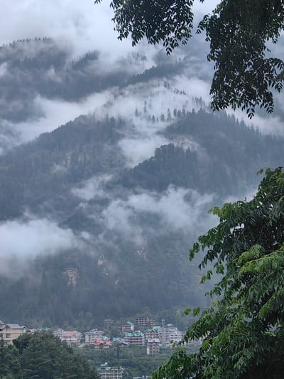 The image depicts a hazy mountain landscape with a dense forest and a small town nestled at the base. The upper portion of the image is dominated by misty clouds that partially obscure the evergreen trees covering the steep slopes. The fog creates a soft, ethereal atmosphere, with only the silhouettes of the trees and the contours of the mountains visible.
In the foreground, the branches of a lush green tree with broad leaves frame the scene on the right side. The leaves are slightly wet, suggesting recent rainfall.
Below the mountains, a cluster of buildings forms a town. The architecture is varied, with multi-story structures featuring tiled roofs in shades of green, brown, and grey. Some buildings appear to be hotels or guesthouses, indicated by their uniform design and balconies. A few other structures, possibly residential or commercial, are scattered throughout. The town is situated on a gentler slope at the foot of the mountains, surrounded by more trees.
The overall scene conveys a sense of a remote, mountainous region, possibly a hill station. Given the description of the location as Aleo, India, it is likely a view of the Himalayan foothills, characterized by dense forests, fog, and a developing tourist town. The lighting is diffused, consistent with an overcast or foggy day. There are no visible people or animals in the image.