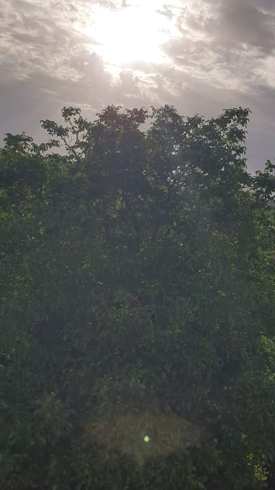 This is a photograph of the sky and the tops of trees. The sky is cloudy with the sun partially visible and shining through the clouds, creating a bright area. The clouds appear to be streaky and layered. Below the sky is a dense canopy of green leaves from trees. The leaves are varied in size and shape, and they appear to be in focus. The overall lighting suggests it is either early morning or late afternoon. The image does not contain any discernible city elements or specific locations within Bruchsal, Germany.