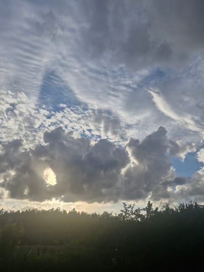 The image depicts a sky filled with dramatic, dense, dark gray clouds interspersed with patches of bright blue sky and lighter, wispy clouds. The sun is partially obscured by the clouds, creating a bright, glowing area of light that seems to be breaking through. Below the sky, a dark silhouette of a dense forest runs across the horizon, with the tops of trees visible against the lighter sky. The foreground is dominated by dark greenery, suggesting a dense foliage of trees and bushes. The lighting suggests it is either early morning or late afternoon, with the sun low in the sky. The scene appears to be set in a natural environment, likely a rural or forested area, given the dense tree line and lack of visible urban structures, excluding a distant, faint lamp post on the left edge of the image. The location in Jenči, Latvia, implies a temperate climate and a landscape characterized by forests. There are no people or specific actions depicted in the image.