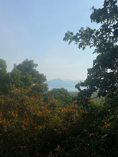 The image shows a landscape view in what appears to be a mountainous or hilly region. The perspective is from within foliage, with trees and branches framing the sky and distant mountains. Some of the trees on the right side have orange flowers. The sky is pale blue with a slight haze. In the distance, mountains are visible. There are small specks in the sky which may be birds. The location is described as the city of Santa Cruz de Yojoa, Honduras.