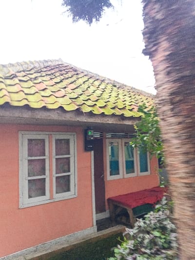 An outdoor, eye-level shot in Pinnwe, Myanmar, depicts the exterior of a single-story building under an overcast sky. The building features peach-colored walls with a white baseboard and a terracotta-tiled roof heavily covered in green moss. To the left, a white-framed window with four panes displays opaque glass. To the right, a dark brown door is flanked by another white-framed window showing light blue reflections. Above the door, a black rectangular device with a horizontal green indicator light is mounted on the wall. A rustic wooden bench, partially covered with a dark red fabric, sits below the right window. In the foreground, green grass leads to a cluster of purple-leafed plants. A vine with green foliage grows up the building's right side. A blurred, textured brown tree trunk occupies the far right foreground, while dark green tree foliage is visible against the bright sky above the roofline. No people are present.