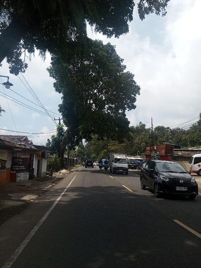 The image depicts a daytime street scene in the city of Niz Lakuk, India. A two-lane asphalt road with a solid white edge line and broken yellow center lines stretches into the background. Shadows from overhead foliage fall across the road.

On the left side, a large tree with dark green leaves and ferns overhangs the foreground. A street light and multiple electrical wires are visible beneath the foliage. Along the road's left edge, rustic single-story buildings stand, one featuring a corrugated metal roof and signs on its facade.

On the right side of the road, a black compact multi-purpose vehicle (MPV) with an Indonesian license plate "B 1520 RVA" is positioned in the foreground, facing away from the camera. Further down the road, a white box truck, a dark motorcycle, and another dark car are traveling in the same direction. An ambulance, white with a red cross emblem, is partially visible and stationary on the far right. Behind the ambulance, various structures with corrugated metal elements are present, backed by a dense line of green trees and foliage, suggesting a hilly terrain. The sky is partially cloudy with patches of blue visible. No individuals are distinctly identifiable.