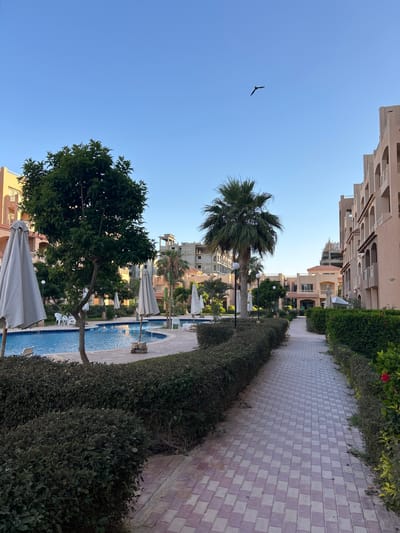 The image depicts an outdoor scene with a clear blue sky. A bird is visible flying in the sky. In the foreground, a pathway paved with light-colored square tiles runs alongside a meticulously maintained hedge. Beyond the hedge, a swimming pool with blue water is visible.

Further into the scene, there are trees, including a palm tree, and several large white umbrellas, suggesting a resort or hotel setting. Buildings with multiple stories and balconies are visible in the background, with some under construction. The architecture appears to be in a style common to Mediterranean or North African regions.

The lighting indicates it is daytime, likely morning or afternoon, with a clear sky suggesting good weather. The overall impression is one of a tranquil, vacation-like atmosphere. There is no visible text in the image. The location context places this scene in Sidi Abdelrahman, Egypt.