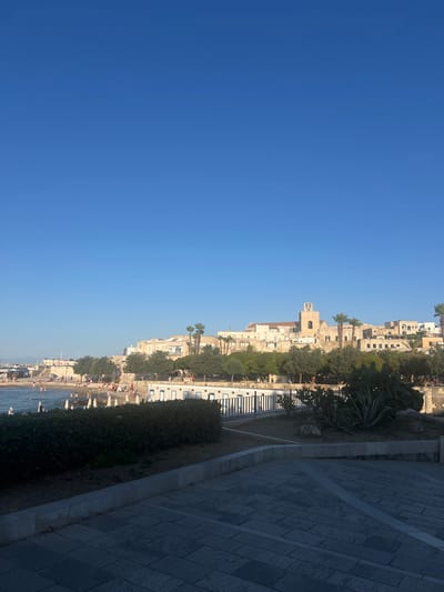 This is an outdoor, medium-shot, eye-level, vertical, still photograph of the waterfront in Otranto, Italy, on a clear, sunny day. The sky is a vibrant, cloudless blue, taking up the top two-thirds of the frame. The bottom third features the Otranto waterfront, with a beach, buildings, trees, and a paved area in the foreground.
The beach is lined with white beach umbrellas and has numerous people enjoying the water and sand. The water is calm and blue. Behind the beach, there is a row of white buildings with blue trim, possibly changing rooms or concessions. A line of trees, including palm trees, separates the beach area from the buildings of the town. The town itself is composed of light-colored, multi-story buildings, with a prominent bell tower of a church visible.
In the foreground, there is a paved walkway made of gray stone tiles, with some concrete curbing. Lush green bushes and some succulents, including a large agave plant, are visible in the middle ground, adding to the Mediterranean feel of the scene. The lighting suggests it is late afternoon, with long shadows cast on the paved area.