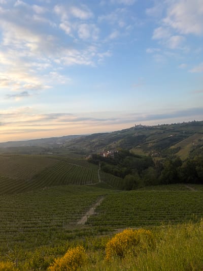 The image shows a landscape near Santo Stefano Belbo, Italy. The sky is light blue with white and some orange clouds. Below, a hillside is cultivated with rows of green vineyards and patches of yellow flowers, suggesting it is a wine-growing area. Scattered among the vines and on the slopes are houses and trees, indicating human development integrated with the natural environment.