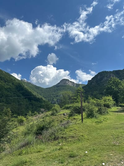 This media file depicts a mountainous landscape under a bright blue sky with scattered white clouds. The scene is oriented vertically, with the sky occupying the left side and the terrain the right. Lush green vegetation covers the steep slopes of the mountains.

The foreground shows a grassy slope with scattered bushes and some dead branches. A single wooden utility pole stands on the slope, with wires extending from it. The mountains rise steeply in the background, their rocky faces interspersed with dense green trees.

The weather appears to be clear and sunny, suggesting it is daytime. The bright sunlight casts shadows on the terrain, highlighting the ruggedness of the landscape. The overall mood is serene and natural. There are no people or specific events depicted, only the natural environment. No text is visible in the image. The location is Zgorigrad, Bulgaria.