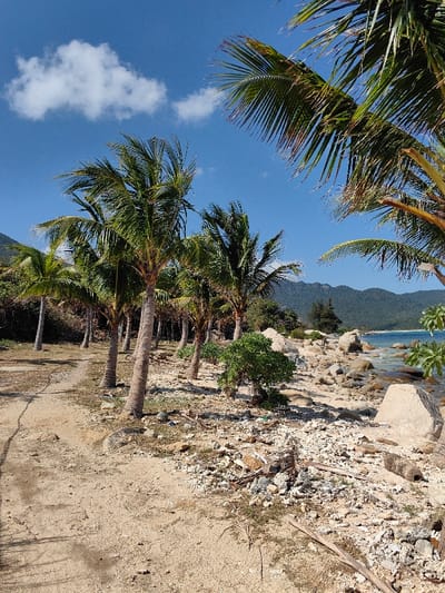 A sandy beach with palm trees lines a coastline. Rocks and debris are scattered on the ground. Clear blue skies dotted with a few white clouds provide a bright backdrop. Mountains are visible in the distance across the water. The scene suggests a tropical or coastal environment.