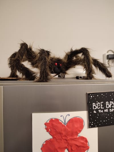 The image shows a fluffy, fake spider with red eyes, positioned on top of a metallic surface, likely a refrigerator, given the context of Bugry, Russia. The spider is the primary subject, its many fuzzy legs spread out. Behind the spider, a white wall serves as the background, with a hint of a white appliance or container. To the right of the spider, a black object resembling a wall socket is visible.
Below the spider, on the metallic surface, a small, dark object with a metallic tip is lying down. On the side of the metallic surface, there are two decorative items. The first is a white square with a red, textured butterfly design, outlined in gray. The second is a black rectangular sign with white polka dots and white lettering. The text on the sign appears to be in Russian and reads "ВСЕ ВРУ" which translates to "EVERYONE IS LYING" or "ALL ARE LIES". Below that, "а ты не вру" is visible, meaning "and you are not lying". The word "все" is repeated at the bottom.
The lighting suggests an indoor setting, with the light source casting shadows that are not strongly defined. The overall impression is that of a humorous or festive decoration, possibly for Halloween, placed in a domestic or kitchen environment.