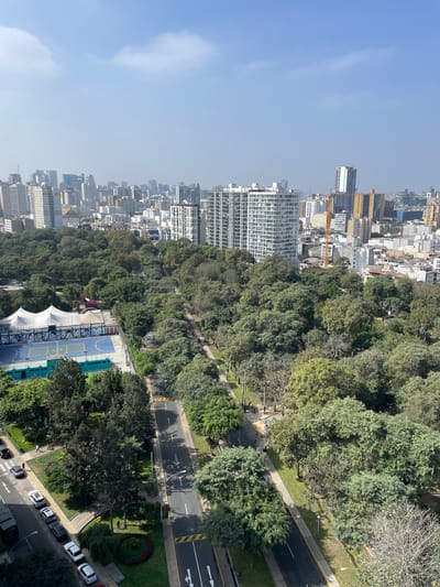 This is an aerial, high-angle shot looking out over the Lince district in Lima, Peru. The foreground features a tree-lined street with cars parked on the side and driving down the road. To the left, there is a sports complex with a blue court, bleachers, and a white tent-like structure. A dense forest of trees occupies the mid-ground, separating the sports complex from the urban skyline in the background. The background is dominated by a dense cityscape of various buildings, including residential towers, office buildings, and some construction cranes, with a hazy sky overhead. The overall scene depicts a transition between a green, recreational area and a developed urban environment.