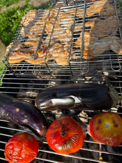 In Lopino, Russia, on a sunny day, chicken wings are grilling on a metal rack over a charcoal grill. Below the chicken, two whole eggplants and three whole tomatoes are also on the grill. The eggplants are dark purple and the tomatoes are red and appear slightly charred. The scene is set outdoors, with green grass visible in the background.
