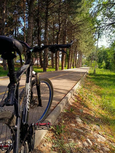 An outdoor, ground-level, eye-level medium shot captures a black mountain bicycle with red pedals parked alongside a paved pathway. The pathway, bordered by a concrete curb and a dense line of tall evergreen trees, stretches into the distance under a bright, sunny sky. To the right of the pathway is a grassy area dotted with small plants and scattered stones. In the background, beyond the trees, hints of buildings and a car suggest an urban or suburban setting, possibly within Orto-Sai, Kyrgyzstan. The scene depicts a peaceful, sunlit moment in a park or recreational area.