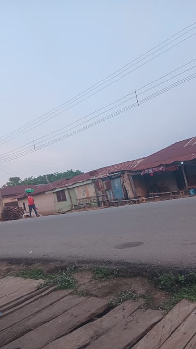 A person in a red shirt and dark pants walks along a dirt path beside a paved road, carrying a green crate of bottles on their head. To their right, a row of small, weathered shops with corrugated metal roofs line the road. The shops have wooden benches outside. Power lines stretch across the pale sky above. The ground in front of the shops is a mixture of dirt and gravel, with sparse green vegetation and small white flowers. To the left of the person, a pile of cut logs is stacked. The scene appears to be in a semi-urban or rural area, possibly in Donga, Nigeria.