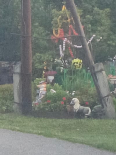 A blurry, outdoor image depicts a yard decorated with various objects. In the foreground, a gray gravel path runs along the bottom left, bordered by a grassy area. A wooden pole stands prominently on the left side of the frame, with a wire attached. To the right of the pole, in the mid-ground, is a garden with red flowers and green foliage. Several decorative items are visible: a small figure resembling a person in orange and white clothing, a bird feeder with a red roof, and a statue of a dog with light-colored fur on its head and a gray body. In the background, trees form a dense green backdrop, and further back, a colorful, tiered decoration with red and yellow elements is visible, possibly a festive display. The overall scene suggests a residential outdoor space with a focus on garden ornamentation and possibly seasonal decorations. The image does not provide enough detail to confirm the specific location within the city of Лучшево, Russia.