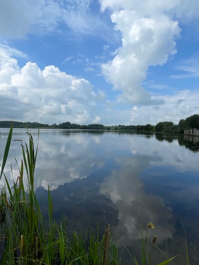 The image depicts a serene lake with a lush green shoreline under a bright blue sky dotted with fluffy white clouds. The water's surface is calm, perfectly reflecting the sky and the distant tree line, creating a mirror-like effect. Reeds and tall grass in the foreground add a natural, untamed element to the scene. In the distance, a line of trees stretches across the horizon, with some structures visible on the right bank of the lake. The overall atmosphere is peaceful and natural, suggesting a quiet, outdoor setting in the vicinity of Кумёны, Russia.