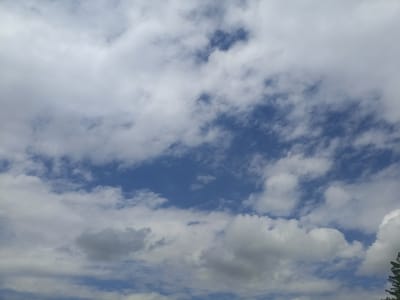 The media file is a medium-shot, eye-level view of a blue sky filled with scattered white and gray clouds. The clouds vary in density and texture, with some appearing wispy and translucent, while others are more solid and voluminous. Patches of clear blue sky are visible between the clouds, creating a dynamic and textured sky. In the lower right corner of the image, the top of some dark green foliage is visible, suggesting the presence of trees or other vegetation. The lighting indicates it is daytime, likely late morning or early afternoon, with the sun filtering through the clouds. The weather appears partly cloudy, with the sky being a prominent feature. There are no people, objects, or discernible text in the image. The scene captures a natural sky formation, possibly in a rural or natural setting given the foliage.