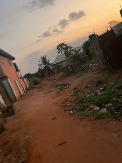 A slightly tilted view of a rural scene shows a dirt path running through the center. To the right, vegetation and debris border the path. On the left, houses of varying sizes and designs are visible, set against a cloudy sky with a touch of orange hues. A palm tree adds a tropical element to the landscape.
