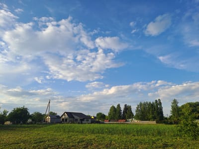 The image displays an outdoor landscape divided into three distinct horizontal sections. The uppermost section is a thick, vibrant green strip of grass or vegetation, extending across the entire width of the frame. Below this, a middle band features a rural or semi-rural scene with several residential houses, numerous green trees, and a prominent wooden utility pole with overhead wires. The houses, mostly light-colored with dark-pitched roofs, are interspersed among the trees. The utility pole runs diagonally from the lower-left to the upper-right within this middle band. The largest section of the image, covering the entire bottom portion, is dominated by a bright blue sky filled with an array of white, fluffy cumulus clouds. These clouds vary in size and shape, with some appearing as small, scattered puffs and others forming larger, more continuous masses.
No people are visible, and no specific activity is taking place; the scene captures a tranquil, static moment. The bright and clear lighting suggests it is late morning or early afternoon, with distinct shadows cast by the clouds. The weather appears fair and pleasant. The presence of residential structures and a utility pole indicates a settled area, consistent with the location context of Polianki, Russia. There is no visible text in the image.