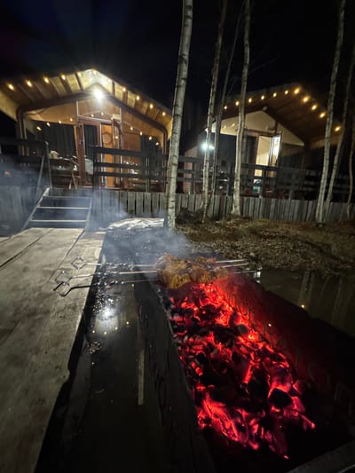 The scene depicts an outdoor evening setting in Vasil'evo, Russia, characterized by artificial illumination against a dark background. In the immediate foreground, a rectangular metal brazier, or mangal, contains a substantial bed of glowing red embers, indicative of hot charcoal. Two metal skewers, holding what appears to be marinated meat, are positioned horizontally over these coals, actively cooking. Wisps of smoke are visibly rising from the cooking meat. To the left of the brazier, two metal grilling forks rest on its edge.
A dark, reflective surface, identified as a body of water, runs horizontally behind the brazier, extending into the mid-ground. This water reflects the artificial lights from the background structures. Several slender, light-barked deciduous trees, likely birches, are sparsely distributed between the water body and the buildings, with bare branches silhouetted against the night sky. The ground immediately surrounding the brazier consists of wooden planking, transitioning to earth with sparse vegetation beyond the water's edge.
In the background, two distinct wooden structures, resembling cabins or bungalows with sloped roofs, are prominently featured. The nearest structure on the left has a visible wooden deck with steps leading down towards the foreground. Both buildings are well-lit with warm-toned string lights along their rooflines and interior lights emanating from their large glass doors and windows. A wooden railing demarcates the deck of the left structure. The overall environment suggests a recreational or lodging area. No individuals are visible within the frame.