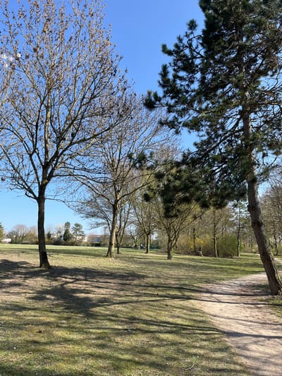 The image shows a grassy park area with several trees and a dirt path, located in Saint-Brice-Courcelles, France, at latitude 49.284 and longitude 4.003. The trees on the left side are bare, while the trees on the right side are pine trees with green needles. There are no people in the image, and the sun is shining. The ground is covered in short green grass, and there are some shadows from the trees. There is a dirt path running diagonally through the center of the image. There is a row of trees on the left side of the image, with several more trees in the background. The trees are mostly deciduous, and they are all bare. In the background, there are a few buildings and other trees. The ground is covered in short green grass, and there are some shadows from the trees. There is a dirt path running diagonally through the center of the image. The sky is blue and clear.