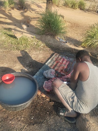 A man in a grey tank top and shorts sits outdoors next to a large bucket of water with a red bowl floating in it. He's cutting meat on a sheet of metal or plastic. Two lumps of what look like intestines are on the sheet. In the background, several chickens wander freely on the dirt ground. Grass clumps grow nearby. The scene appears rural or in a yard.