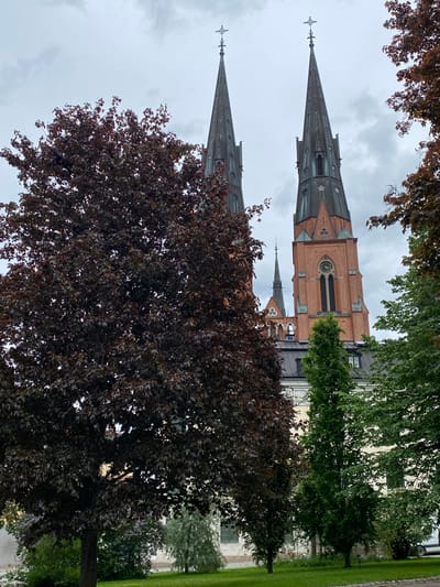 The image captures a partial view of Uppsala Cathedral, a prominent landmark in Uppsala, Sweden. The view is partially obscured by trees with green and reddish-brown foliage, framing the cathedral's spires and central clock tower. The spires are characterized by their dark, pointed tops with cross finials, and the clock tower showcases a light-brown brick exterior. The sky is overcast, suggesting diffused lighting conditions. The surrounding environment includes green lawn visible to the right of the image. No people are visible.