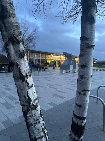The scene depicts an outdoor plaza area at The Helix in Falkirk, Scotland, United Kingdom, during dusk or early evening under an overcast sky. Two birch tree trunks with white and dark, peeling bark dominate the foreground, framing a view of a modern building and a large sculpture.
The building, a single-story structure with a grey roof, features a predominantly glass facade revealing an illuminated interior with yellow-toned walls. Several individuals are visible inside the building, some seated at tables, others standing. In front of the building, multiple outdoor picnic tables with attached benches are arranged on a grey paved surface composed of rectangular blocks. A black public waste bin is positioned to the far left.
To the right of the building, a large, metallic sculpture resembling a horse's head and neck, identified as one of The Kelpies, stands prominently. It appears constructed from numerous interconnected geometric plates. A person wearing a blue jacket is standing outside the building near the picnic tables. Additional silver-colored metal bike racks and small concrete bollards, some with yellow tops, are present on the paved ground.
The background shows bare-branched trees against a cloudy, dark blue sky, with faint power lines or structures visible on a distant rise to the far right.