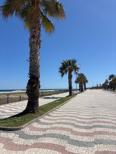 The image depicts a seaside promenade in Soverato, Italy, recognizable by its distinct patterned pavement. Palm trees are planted along the walkway, lining the edge of the beach. The trees provide shade along the walk. A low metal fence separates the promenade from the beach area below. The sky is clear and blue, indicating a sunny day.