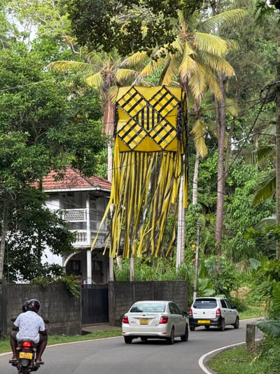 An overhead view captures a vibrant street scene in Thihagoda, Sri Lanka, filled with lush tropical greenery under an overcast sky. The image is dominated by a large, ornate yellow and black decorative structure, likely a Vesak lantern, hanging prominently on the left. It features a patterned top section with black stripes on a yellow background, and numerous long, flowing yellow and black ribbons or streamers cascading downwards.
A winding asphalt road curves through the center-right of the frame, accommodating traffic. Two white compact cars are visible on the road; one in the foreground displays the Sri Lankan license plate "SP BCD 8428," while a smaller hatchback further up the road shows "KF - 4052." In the bottom right, a person wearing a white patterned shirt and a dark helmet is riding a motorcycle, with its rear visible, displaying the license plate "SP BCL 8546."
The surrounding landscape is characterized by dense vegetation, including tall palm trees with their distinctive fronds, various broadleaf trees, and bushes, creating a verdant backdrop. Portions of residential buildings, featuring white facades and red-tiled roofs, are partially visible through the foliage on both sides of the road, suggesting a semi-urban or rural residential area. Utility lines crisscross overhead. The scene depicts a typical daytime setting, likely during a festive period given the prominent lantern.