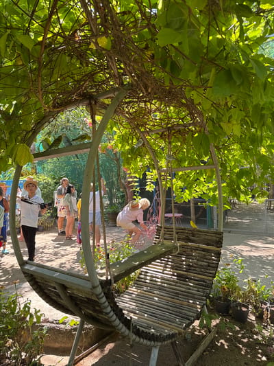 In Hoa Thang, Vietnam, under a canopy of lush green foliage, a unique circular structure with an attached wooden swing is the focal point of this outdoor scene. Several parakeets are perched on a horizontal beam within the structure, some appearing to be a light blue, while others are green. A woman with blonde hair, wearing a light pink shirt and white shorts, is interacting with the swing, appearing to be cleaning or adjusting it. A yellow bird is perched on the wooden slats of the swing. In the foreground, a young person wearing a straw hat and a white shirt, holding a camera with a strap, stands looking towards the scene. Other individuals are visible in the background, some observing the birds and the structure. The ground is covered in gravel, with potted plants and sparse vegetation surrounding the area. The sunlight casts dappled shadows through the leaves, creating a bright and airy atmosphere.