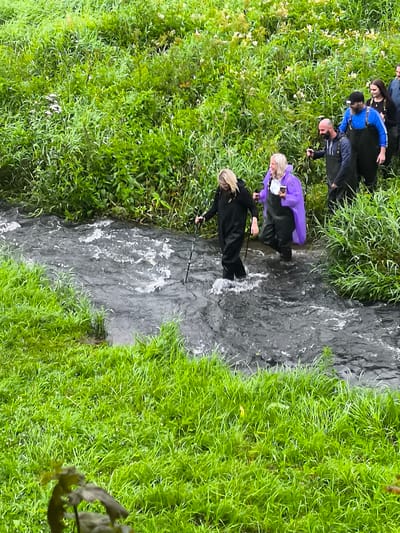 In Kuldīga, Latvia, a group of people are navigating a shallow, fast-flowing river surrounded by lush green vegetation. The individuals are wearing waders, suggesting they are engaged in an activity that requires protection from water, possibly fishing or a guided nature excursion. One person in the foreground, wearing a black jumpsuit, uses a walking stick to maintain balance as they step through the water. To their right, another person in a vibrant purple poncho is also wading, holding a mobile phone. Behind them, several other individuals are walking in the same direction, some also in waders and waterproof gear. The riverbed appears rocky, contributing to the turbulent flow of the water. The dense green foliage on both banks of the river suggests a natural, undeveloped area, consistent with the Venta River rapids in Kuldīga, a well-known natural attraction.