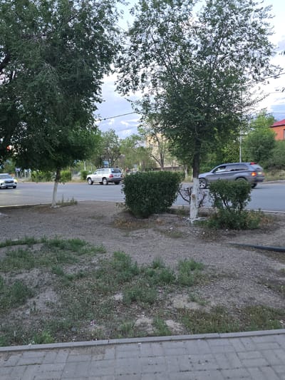 The image depicts an outdoor scene in Satbayev, Kazakhstan, likely during the daytime with overcast skies. A paved road runs through the frame, with vehicles present. A dark-colored car is captured in motion on the road, its taillights illuminated. Further down the road, a white SUV is parked. The roadside is characterized by gravel and patches of green grass. Several trees with dense foliage are scattered throughout the scene, some with white paint applied to their trunks, suggesting they might be part of a local beautification or pest control effort. In the background, glimpses of buildings and more trees can be seen. The overall setting appears to be a residential or semi-urban area. No people are clearly visible in the image, and no text is discernible.