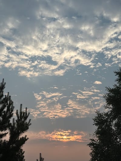 This is a vertical, full-shot photograph of a sky with clouds and silhouetted tree branches. The sky is a pale blue, transitioning to a hazy orange and pink on the right side of the image. The sun is visible in the right portion of the frame, partially obscured by clouds and casting a warm glow. Wispy, white clouds are scattered across the sky, with some appearing more dense and textured than others. The clouds on the left side of the image are whiter and more voluminous, while those on the right are tinged with the colors of the sunset.

Dark green to black silhouettes of tree branches frame the top and bottom right portions of the image. The branches have a feathery appearance, suggesting they are from coniferous trees like pine or fir. The overall scene evokes a sense of a tranquil evening or early morning. The lighting and cloud formations suggest it is either sunrise or sunset. There is no visible text in the image.

The scene is set outdoors, likely in a natural or semi-natural environment given the presence of trees. The location context provided is Leninsk-Kuznetskiy, Russia, which aligns with the visual cues of a temperate climate with coniferous trees. The mood conveyed is peaceful and serene.