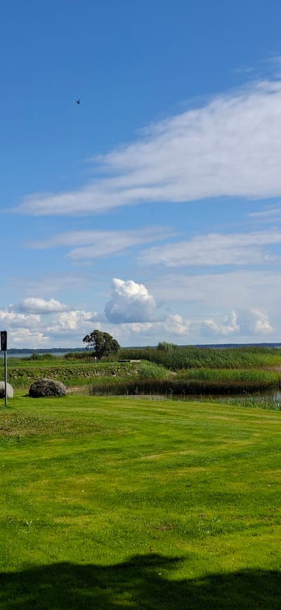 A vertical, eye-level medium shot captures a serene park-like landscape under a bright blue sky with scattered white clouds. In the foreground, a lush green lawn stretches across the bottom half of the image, casting a dark shadow from an unseen object on the right. To the left, near the edge of the lawn, are two large grey rocks and a black sign with a white "P" symbol, indicating parking.

The middle ground features a section of a stone wall bordering a dense growth of tall, green reeds and grasses, which leads to a tranquil body of water. A solitary, mature tree with a full, dark green canopy stands prominently on the stone wall, set against the backdrop of the water and reeds.

The background reveals a wide expanse of water that stretches to the horizon, bordered by a thin line of dark green vegetation. The sky is a vibrant blue, filled with soft, wispy white clouds. A single dark bird, appearing as a small silhouette, is visible in the upper left quadrant of the sky. The scene is peaceful and natural, suggesting a park or recreational area. The image was taken in Valma, Estonia.