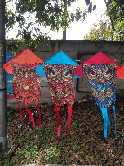 Three owl-themed kites are suspended outdoors in Thit Seint Pin, Myanmar. The kites hang horizontally from a thin line attached to a vertical grey metal pole on the left, positioned in front of a concrete wall. From left to right: the first kite features an orange conical top and an orange-red owl body with red tails; the second kite has a teal conical top and a predominantly red and gold owl body with red tails; the third kite exhibits a red conical top and a primarily blue and gold owl body with blue tails. All owl bodies display detailed feather patterns and large, stylized yellow eyes. The ground beneath the kites is covered with a mixture of dry brown leaves and patches of small green groundcover plants. Green foliage from trees is visible above the concrete wall, against a bright, hazy sky. No individuals are present in the image.