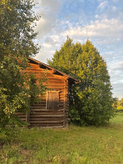 This is a photograph of a traditional wooden log cabin, likely a *izba*, situated in a grassy field in the village of Bolshchelug, Russia. The cabin is constructed from horizontally stacked logs, with visible notches at the corners. A single wooden shutter covers a window on the visible side of the building. The roof is steeply pitched and appears to be covered in wood shingles or similar material.
The cabin is partially obscured by lush green foliage from two large trees. One tree, with lighter green leaves, is positioned to the left and slightly in front of the cabin, its branches casting dappled shadows on the log walls. To the right and behind the cabin, a larger tree with denser, darker green leaves dominates the background.
The ground is covered in a thick layer of green grass, with some areas appearing dry and yellowed, suggesting a late summer or early autumn setting. The lighting indicates it is either early morning or late afternoon, with warm sunlight illuminating the right side of the cabin and the trees. The sky above is partly cloudy, with a mix of white and gray clouds against a pale blue sky. The overall impression is one of a rustic, rural scene bathed in the golden light of the sun. There are no people or animals visible in the image.