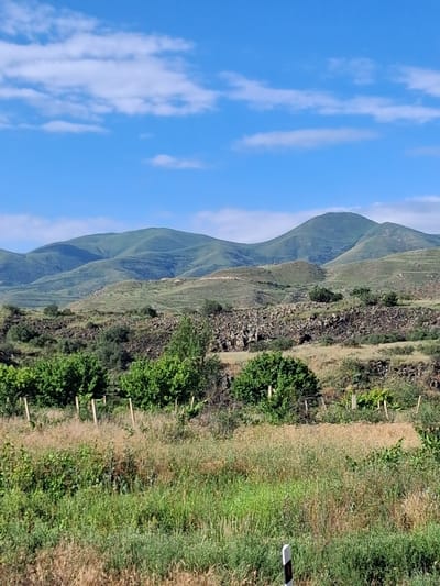 An outdoor, eye-level, full, vertical shot captures a view of rolling green hills and mountains under a blue sky with white clouds. In the foreground, tall grass and various plants cover the ground, with some wooden stakes visible. Behind the grass, a line of trees with dense green foliage is present. Further back, a rocky, textured slope is visible, leading up to the green hills. The image appears to be a scenic landscape, likely in a rural or mountainous region.