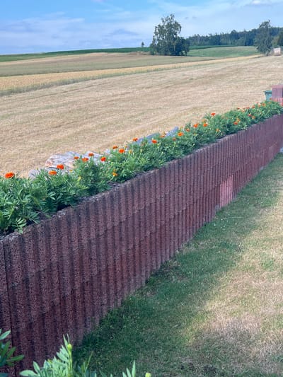 This media file captures an outdoor scene, likely in Neustadt, Germany, characterized by a long, dark brown, textured pathway or roof that dominates the right side of the frame. The pathway is composed of rows of rectangular tiles, suggesting it is man-made and possibly a pathway or perhaps the roof of a long structure.

To the left of the pathway, a vibrant border of green foliage with bright orange flowers, possibly marigolds, runs along its edge. These flowers provide a striking contrast to the dark pathway and the surrounding landscape.

Beyond the flower border, a field of dry, golden-brown grass stretches out. This field appears to be either harvested or naturally dried, indicative of a rural or agricultural setting. Further in the background, a strip of green trees forms a line, and beyond that, a hazy blue sky with scattered clouds suggests it is daytime.

The perspective is a high-angle shot, looking down and across the scene. The light appears diffused, and the shadows are not harsh, hinting at either an overcast day or possibly late afternoon light. No people are visible in the frame. The overall impression is one of natural beauty and ordered landscaping in a rural environment. No visible text is present.