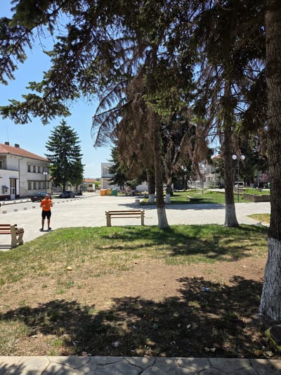 A man in an orange t-shirt and black shorts stands in a paved public square, holding a small object and looking to his left. He is positioned in the foreground, with a grassy area and trees behind him. Several benches are visible, some with concrete bases and wooden slats. In the background, there is a two-story building with a light-colored facade and a red-tiled roof, with cars parked along the street in front of it. Further in the distance, more buildings and trees are visible under a clear blue sky. The scene appears to be in the town of Todor Ikonomovo, Bulgaria, suggested by the context of the provided images.