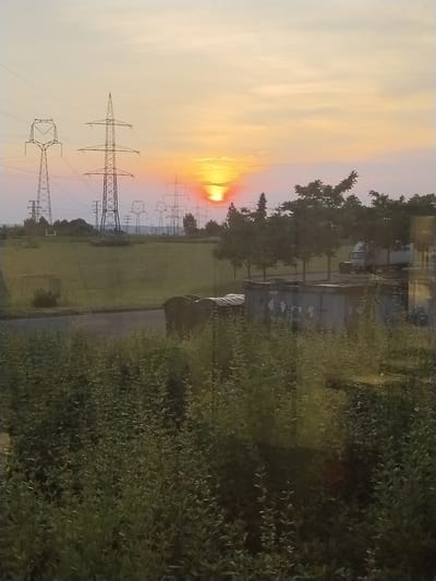 The image captures a rural landscape during sunset. The sky is a warm gradient of orange and yellow, with the sun positioned in the center of the frame. Tall electricity pylons, characteristic of infrastructure in the Czech Republic, dot the horizon. In the foreground, dense green foliage obscures the ground, suggesting a natural or overgrown area. The scene is viewed through a window, indicated by a subtle reflection on the glass. The setting appears to be on the outskirts of Nový Jičín, Czechia, where such power lines and undeveloped land are common. There are no people or animals visible.
