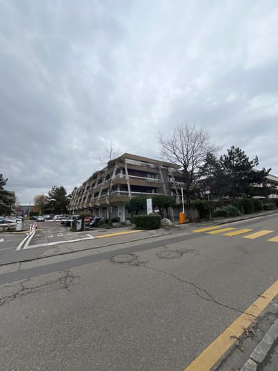 The image captures a street view in Meyrin, Switzerland, under an overcast sky during daytime. The scene is dominated by a multi-story building on the left, featuring numerous balconies or terraces and some overgrown vegetation. A bare-branched tree stands prominently near the building, contrasting with dense evergreen trees and bushes lining the property.

To the right, a paved asphalt street stretches into the distance, marked with bright yellow lines along the curb and white lines for parking spaces on the left side of the road. Visible cracks traverse the asphalt, and two manhole covers are embedded in the road surface. Alongside the yellow curb line, what appears to be yellow tactile paving is also present. Several cars are parked neatly along the left side of the street. A yellow and black barrier arm is partially visible near the building, suggesting an entrance to a private area or parking lot. Two small signs on poles are visible near the building facade, but any text on them is illegible. No people or specific activities are observable, lending a quiet, static atmosphere to the cloudy urban landscape.