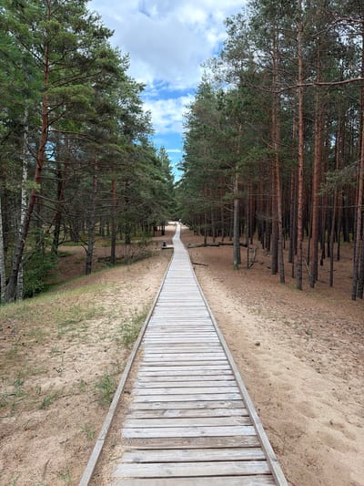 The image shows a wooden boardwalk leading through a pine forest. The boardwalk is made of light-colored wooden planks and appears to be well-maintained. On either side of the boardwalk, there is sandy ground with sparse vegetation and pine trees. The trees are tall and slender, with dense green needles. The forest floor is covered with pine needles and sand. In the background, the boardwalk curves to the left, disappearing into the trees. The sky is partly cloudy with some blue sky visible. The scene suggests a natural, tranquil environment, likely a park or a nature reserve. The location is identified as Gauja, Latvia.